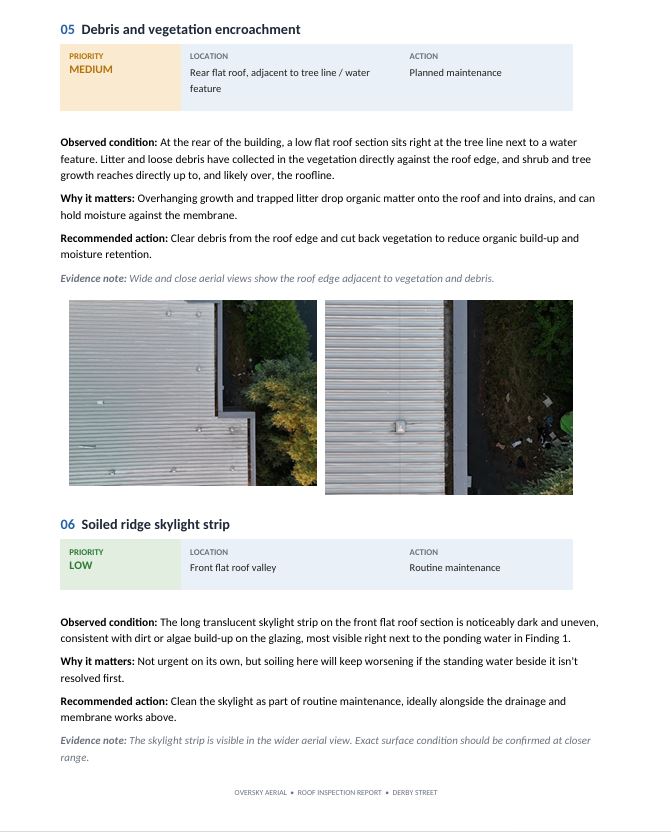 Roof survey case study page 6